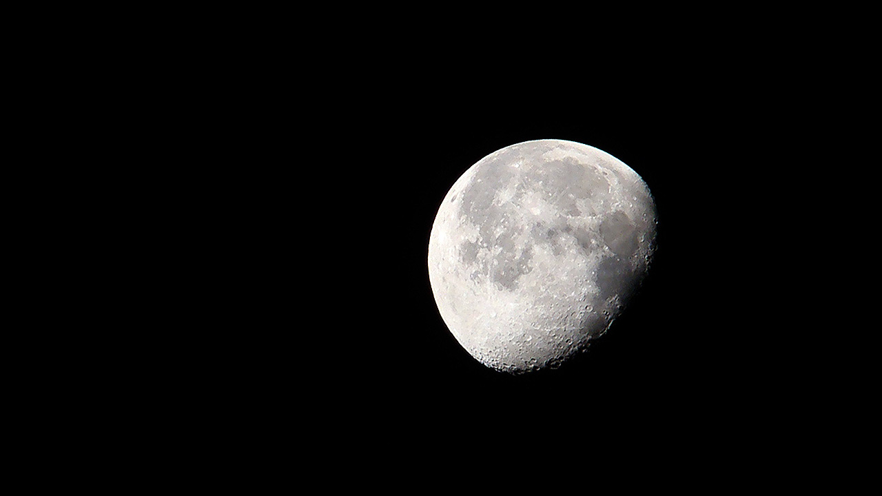Luz da Lua, por Laila Guedes.