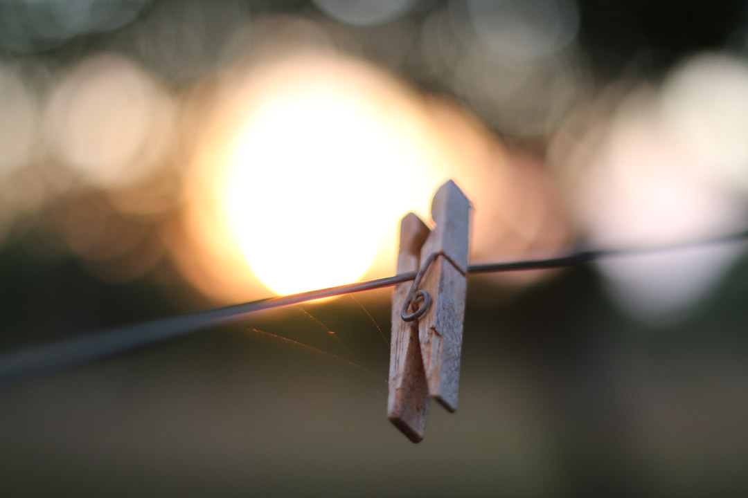 Grudado em Nós. Foto: Laila Guedes